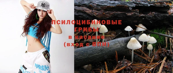 бошки Абинск